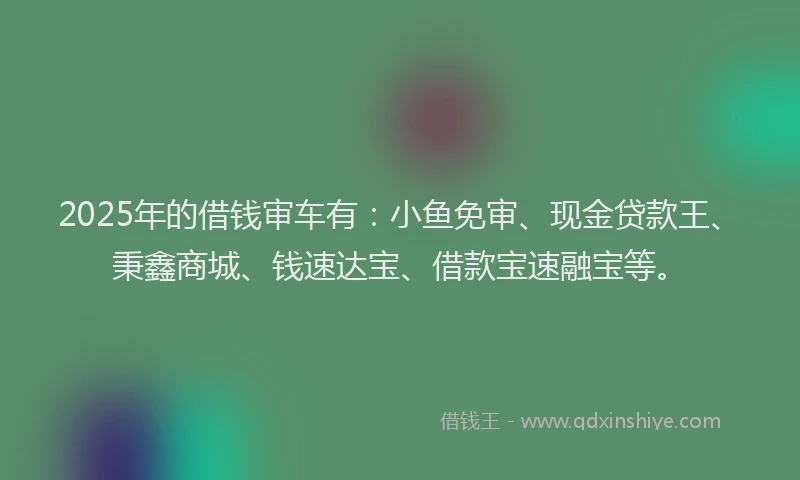 2025年的借钱审车有：小鱼免审、现金贷款王、秉鑫商城、钱速达宝、借款宝速融宝等。