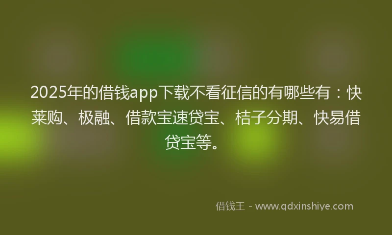 2025年的借钱app下载不看征信的有哪些有：快莱购、极融、借款宝速贷宝、桔子分期、快易借贷宝等。