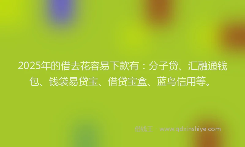 2025年的借去花容易下款有：分子贷、汇融通钱包、钱袋易贷宝、借贷宝盒、蓝鸟信用等。