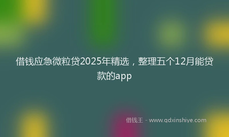 借钱应急微粒贷2025年精选，整理五个12月能贷款的app
