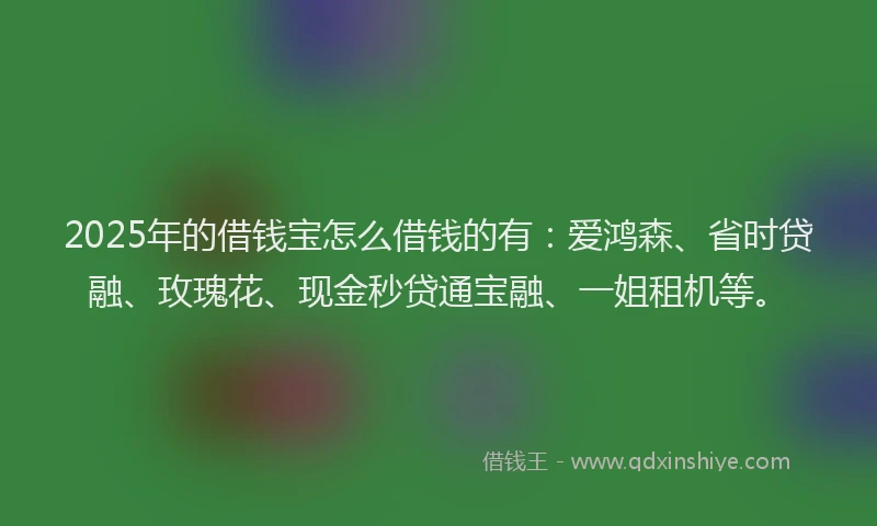 2025年的借钱宝怎么借钱的有：爱鸿森、省时贷融、玫瑰花、现金秒贷通宝融、一姐租机等。