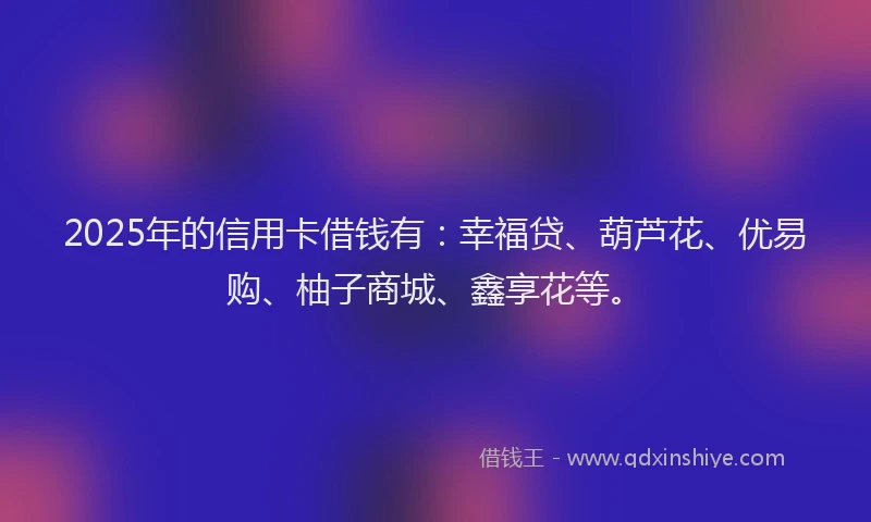 2025年的信用卡借钱有：幸福贷、葫芦花、优易购、柚子商城、鑫享花等。