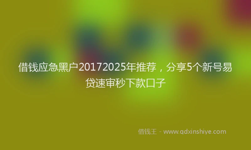借钱应急黑户20172025年推荐，分享5个新号易贷速审秒下款口子