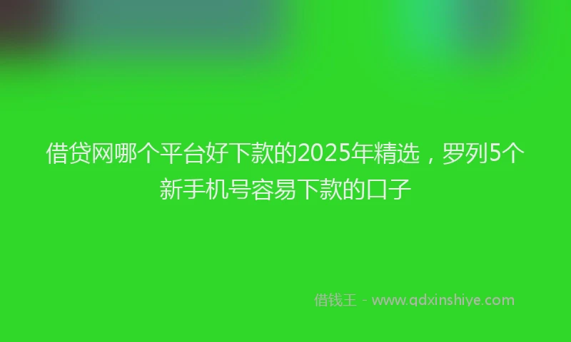 借贷网哪个平台好下款的2025年精选,罗列5个新手机号容易下款的口子