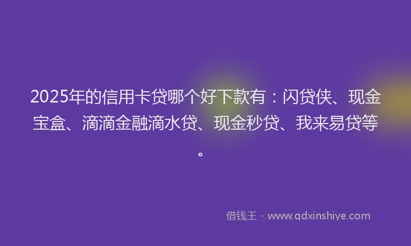 2025年的信用卡贷哪个好下款有：闪贷侠、现金宝盒、滴滴金融滴水贷、现金秒贷、我来易贷等。