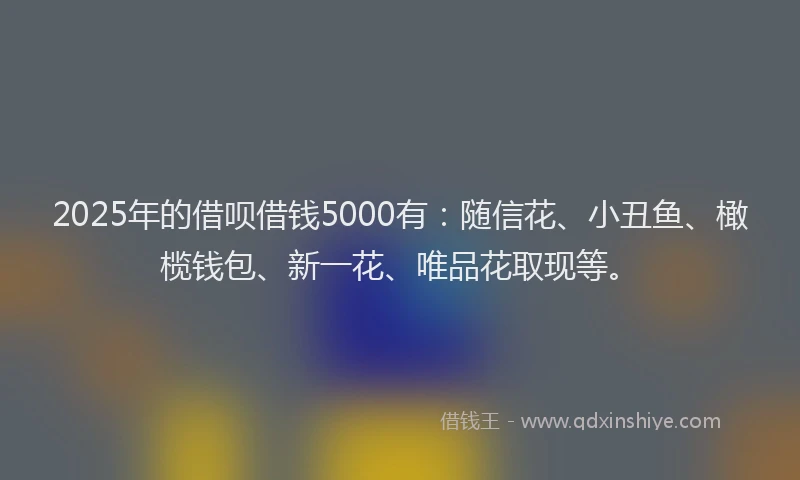 2025年的借呗借钱5000有：随信花、小丑鱼、橄榄钱包、新一花、唯品花取现等。