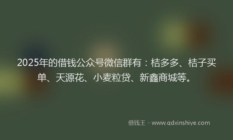 2025年的借钱公众号微信群有：桔多多、桔子买单、天源花、小麦粒贷、新鑫商城等。