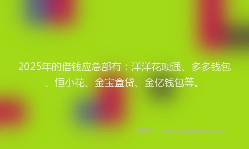 2025年的借钱应急部有：洋洋花呗通、多多钱包、恒小花、金宝盒贷、金亿钱包等。