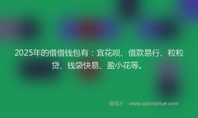 2025年的借借钱包有：宜花呗、借款易行、粒粒贷、钱袋快易、盈小花等。