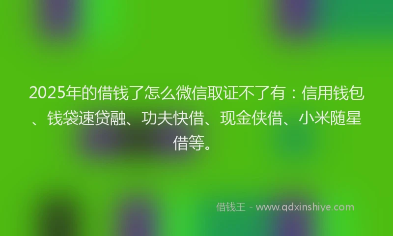 2025年的借钱了怎么微信取证不了有：信用钱包、钱袋速贷融、功夫快借、现金侠借、小米随星借等。