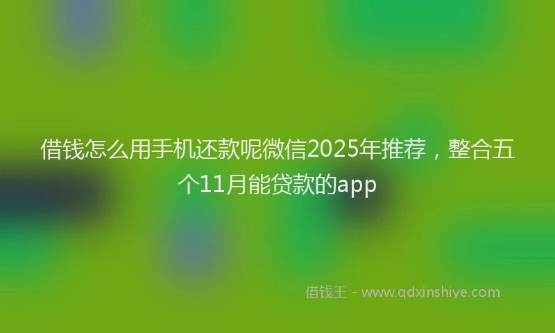 借钱怎么用手机还款呢微信2025年推荐，整合五个11月能贷款的app