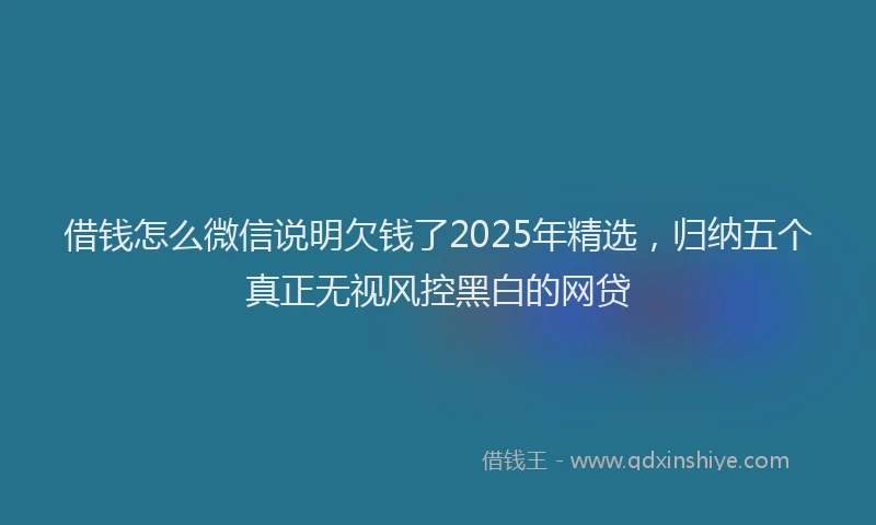 借钱怎么微信说明欠钱了2025年精选，归纳五个真正无视风控黑白的网贷