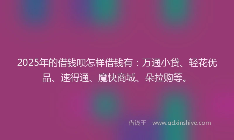 2025年的借钱呗怎样借钱有：万通小贷、轻花优品、速得通、魔快商城、朵拉购等。