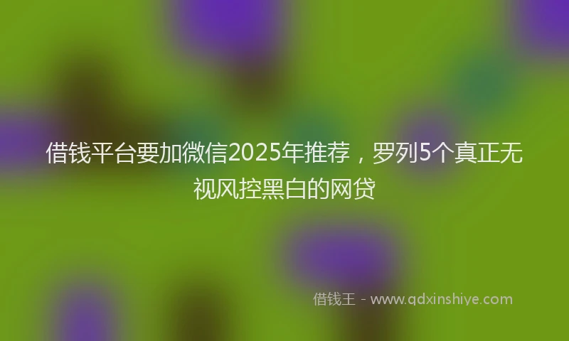 借钱平台要加微信2025年推荐，罗列5个真正无视风控黑白的网贷