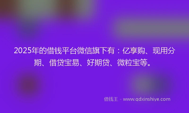2025年的借钱平台微信旗下有：亿享购、现用分期、借贷宝易、好期贷、微粒宝等。