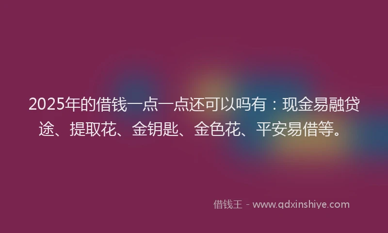 2025年的借钱一点一点还可以吗有：现金易融贷途、提取花、金钥匙、金色花、平安易借等。