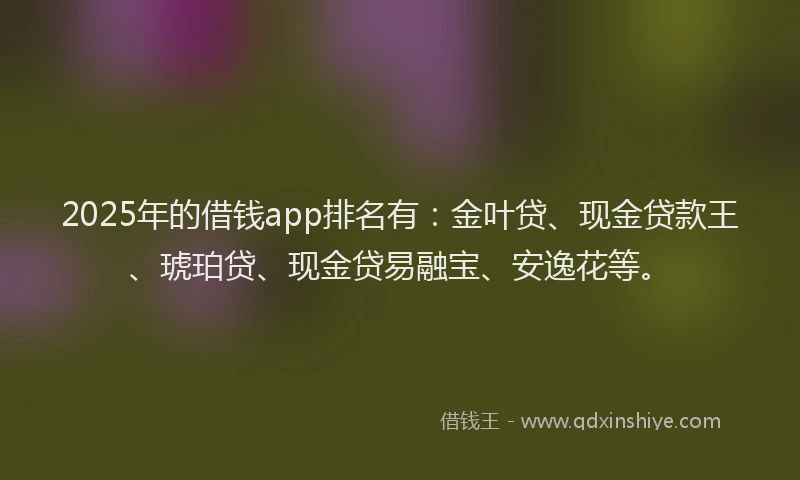 2025年的借钱app排名有：金叶贷、现金贷款王、琥珀贷、现金贷易融宝、安逸花等。