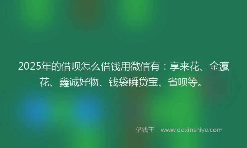 2025年的借呗怎么借钱用微信有：享来花、金瀛花、鑫诚好物、钱袋瞬贷宝、省呗等。