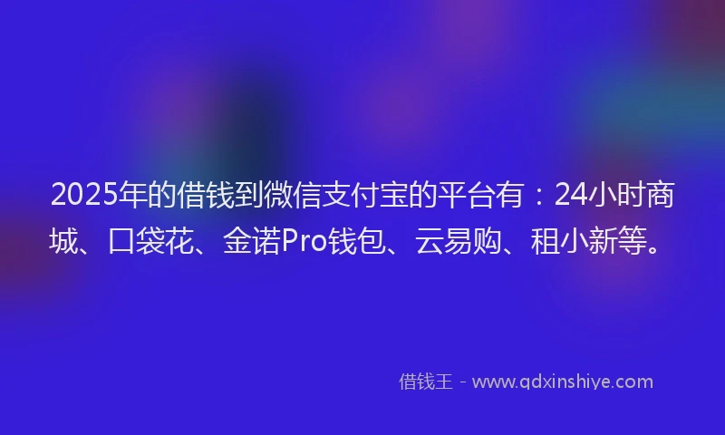 2025年的借钱到微信支付宝的平台有：24小时商城、口袋花、金诺Pro钱包、云易购、租小新等。