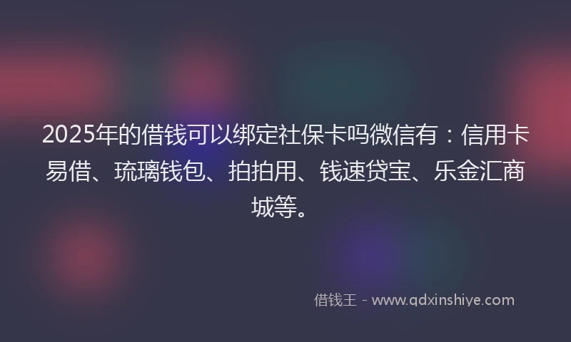 2025年的借钱可以绑定社保卡吗微信有：信用卡易借、琉璃钱包、拍拍用、钱速贷宝、乐金汇商城等。