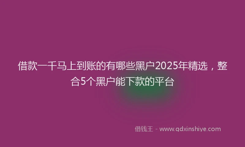 借款一千马上到账的有哪些黑户2025年精选,整合5个黑户能下款的平台