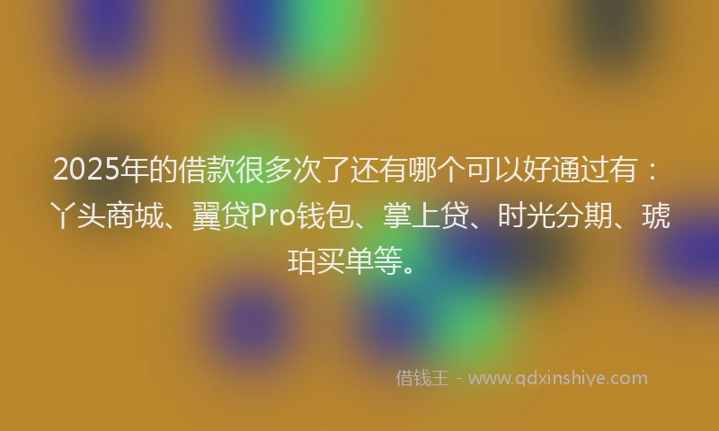2025年的借款很多次了还有哪个可以好通过有：丫头商城、翼贷Pro钱包、掌上贷、时光分期、琥珀买单等。