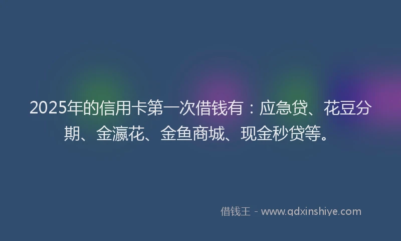 2025年的信用卡第一次借钱有：应急贷、花豆分期、金瀛花、金鱼商城、现金秒贷等。