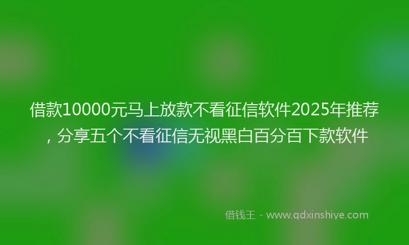 借款10000元马上放款不看征信软件2025年推荐，分享五个不看征信无视黑白百分百下款软件