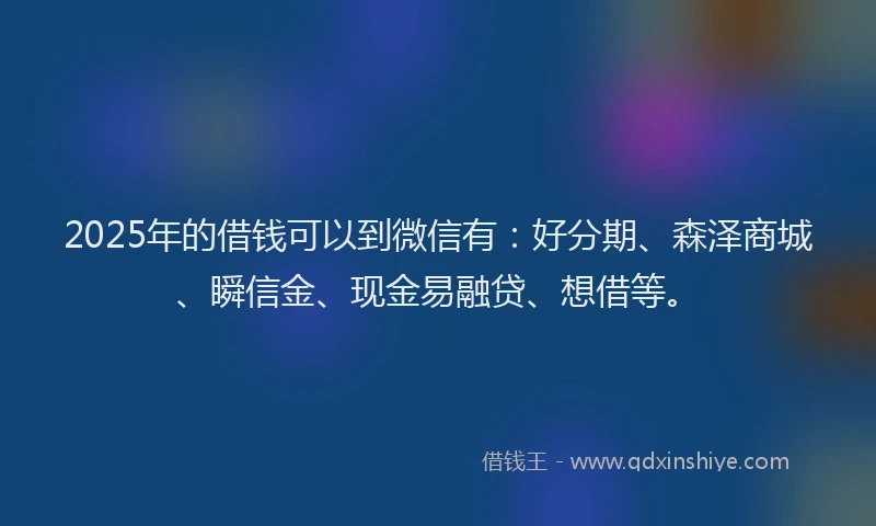 2025年的借钱可以到微信有：好分期、森泽商城、瞬信金、现金易融贷、想借等。