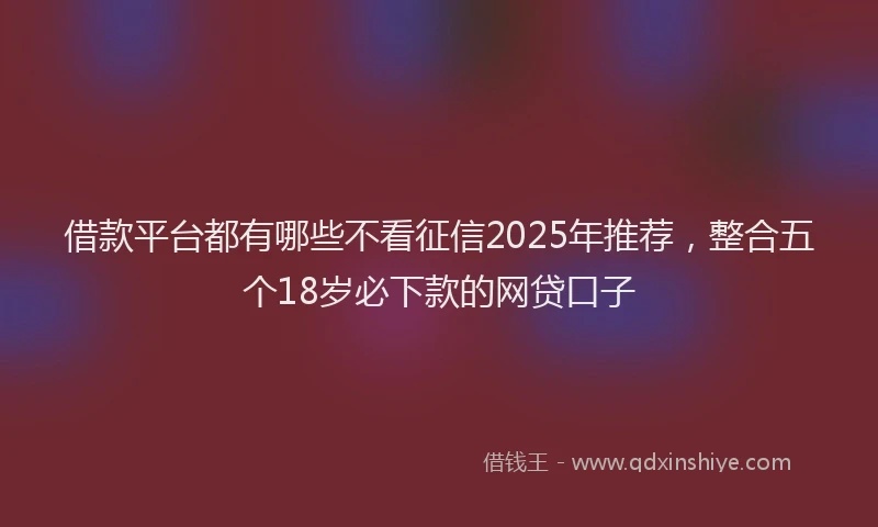 借款平台都有哪些不看征信2025年推荐,整合五个18岁必下款的网贷口子