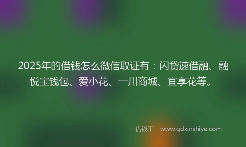 2025年的借钱怎么微信取证有：闪贷速借融、融悦宝钱包、爱小花、一川商城、宜享花等。