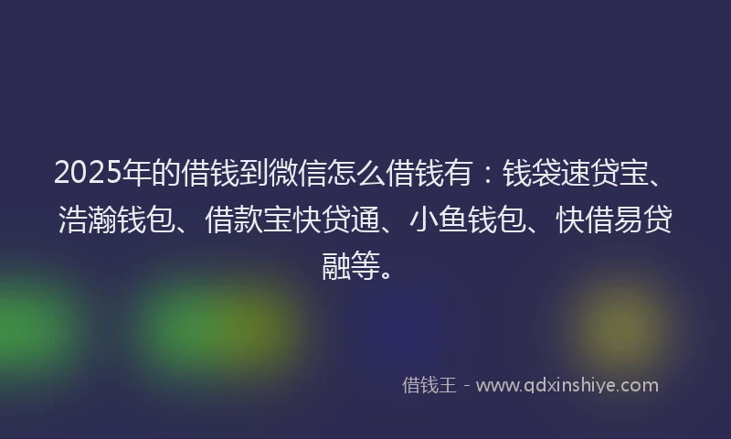 2025年的借钱到微信怎么借钱有：钱袋速贷宝、浩瀚钱包、借款宝快贷通、小鱼钱包、快借易贷融等。