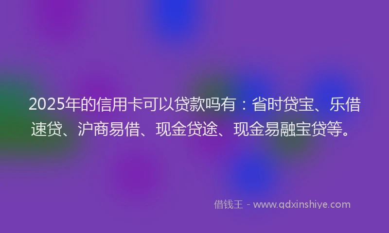 2025年的信用卡可以贷款吗有：省时贷宝、乐借速贷、沪商易借、现金贷途、现金易融宝贷等。