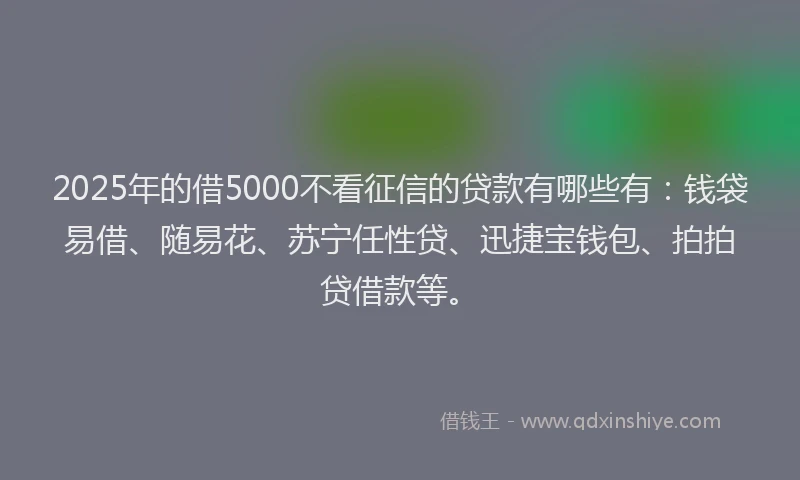 2025年的借5000不看征信的贷款有哪些有：钱袋易借、随易花、苏宁任性贷、迅捷宝钱包、拍拍贷借款等。