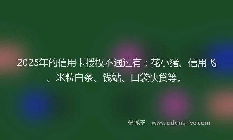 2025年的信用卡授权不通过有：花小猪、信用飞、米粒白条、钱站、口袋快贷等。