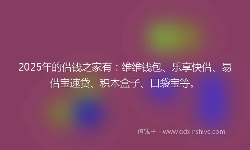 2025年的借钱之家有：维维钱包、乐享快借、易借宝速贷、积木盒子、口袋宝等。
