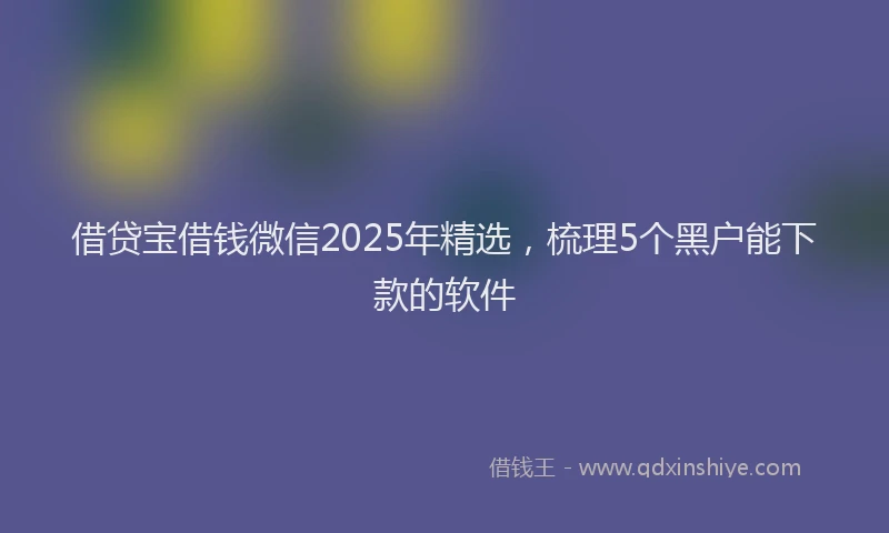 借贷宝借钱微信2025年精选，梳理5个黑户能下款的软件