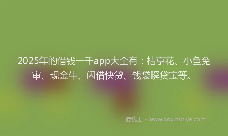 2025年的借钱一千app大全有：桔享花、小鱼免审、现金牛、闪借快贷、钱袋瞬贷宝等。