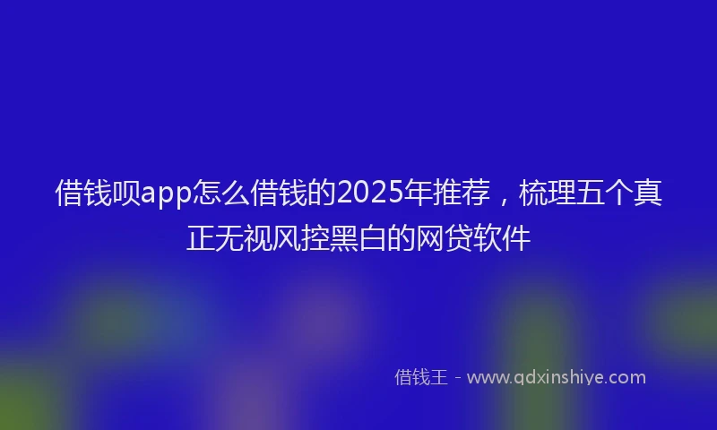 借钱呗app怎么借钱的2025年推荐，梳理五个真正无视风控黑白的网贷软件
