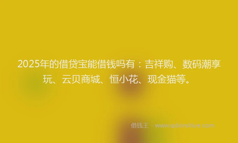 2025年的借贷宝能借钱吗有：吉祥购、数码潮享玩、云贝商城、恒小花、现金猫等。