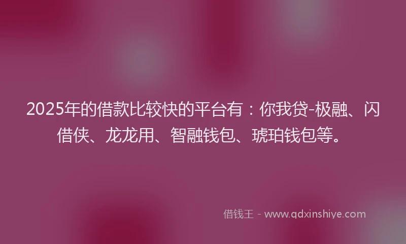 2025年的借款比较快的平台有：你我贷-极融、闪借侠、龙龙用、智融钱包、琥珀钱包等。