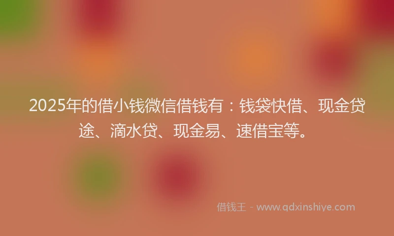 2025年的借小钱微信借钱有：钱袋快借、现金贷途、滴水贷、现金易、速借宝等。