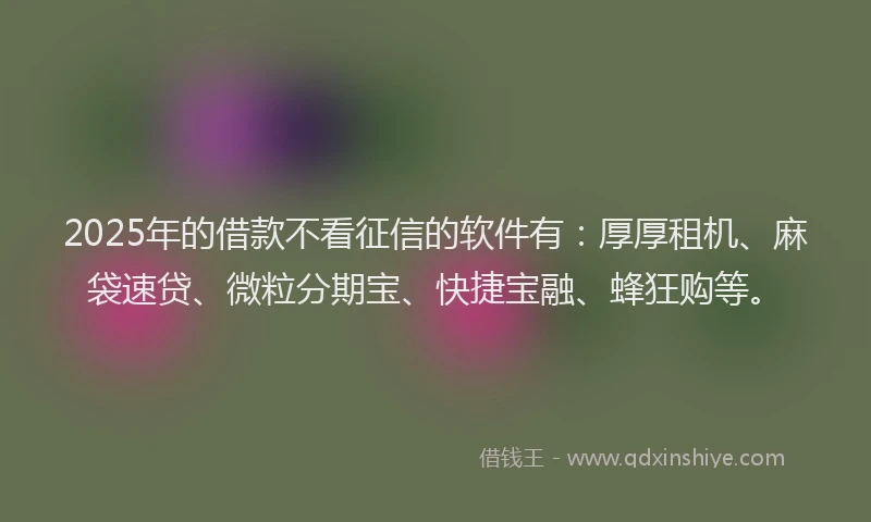 2025年的借款不看征信的软件有：厚厚租机、麻袋速贷、微粒分期宝、快捷宝融、蜂狂购等。