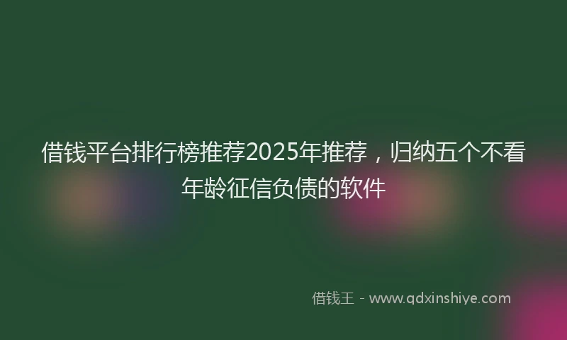 借钱平台排行榜推荐2025年推荐，归纳五个不看年龄征信负债的软件