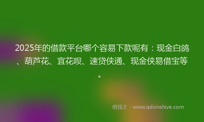 2025年的借款平台哪个容易下款呢有：现金白鸽、葫芦花、宜花呗、速贷侠通、现金侠易借宝等。