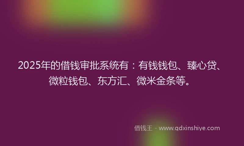 2025年的借钱审批系统有：有钱钱包、臻心贷、微粒钱包、东方汇、微米金条等。
