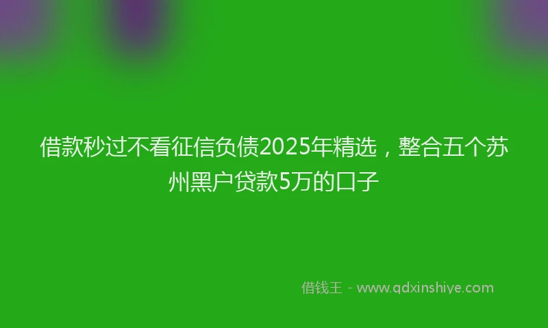 借款秒过不看征信负债2025年精选，整合五个苏州黑户贷款5万的口子
