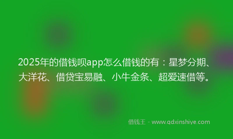 2025年的借钱呗app怎么借钱的有：星梦分期、大洋花、借贷宝易融、小牛金条、超爱速借等。
