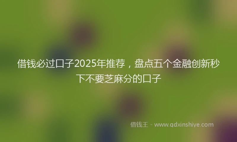 借钱必过口子2025年推荐,盘点五个金融创新秒下不要芝麻分的口子