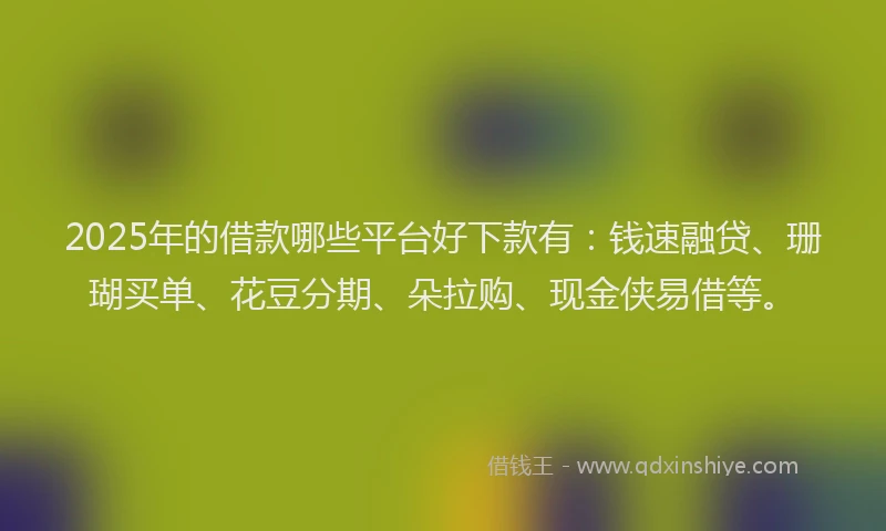 2025年的借款哪些平台好下款有：钱速融贷、珊瑚买单、花豆分期、朵拉购、现金侠易借等。